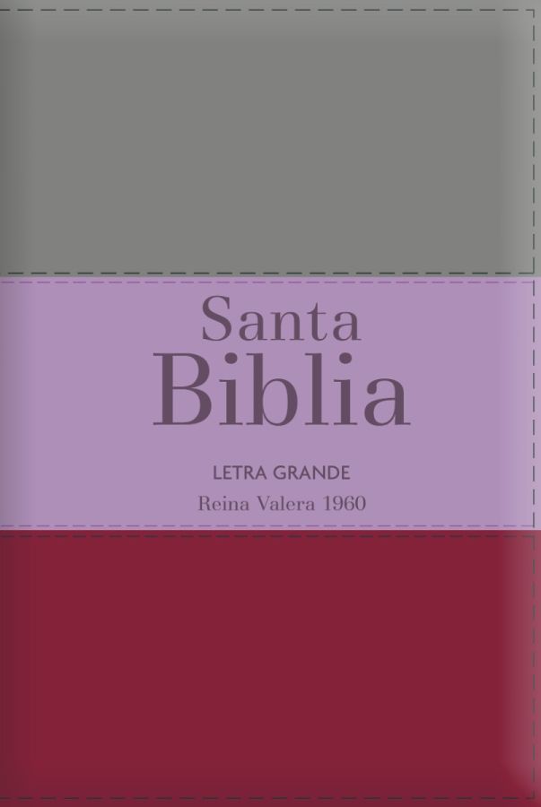 Biblia RVR60 Letra Grande - Tamaño manual