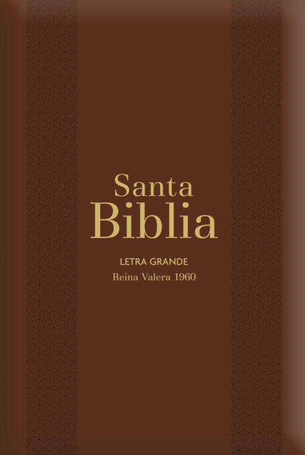 Biblia RVR60 Letra Grande - Tamaño manual 