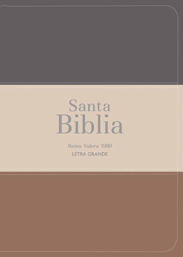 Biblia RVR 1960 - Letra Grande - Tamaño manual - Gris/beige/marrón 