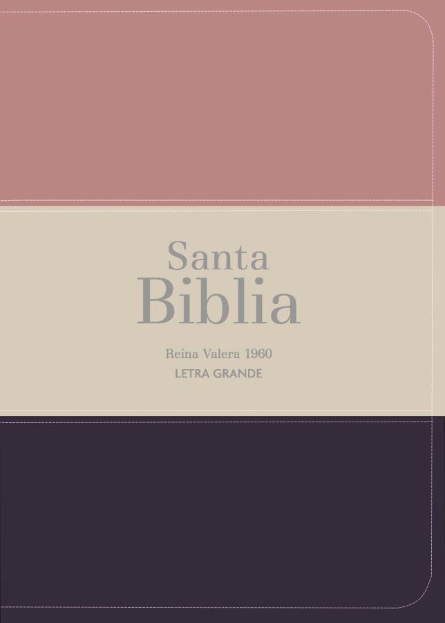 Biblia RVR 1960 - Letra Grande - Tamaño manual - Melón/beige/azul