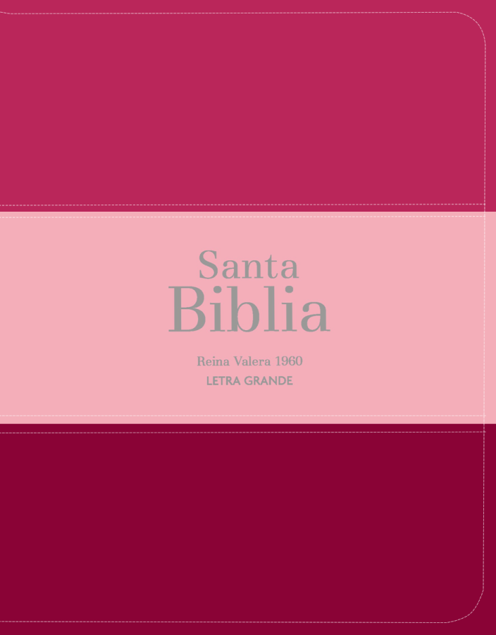 Biblia RVR 1960 - Letra Grande - Tamaño manual - Fucsia/rosado/rojo granate