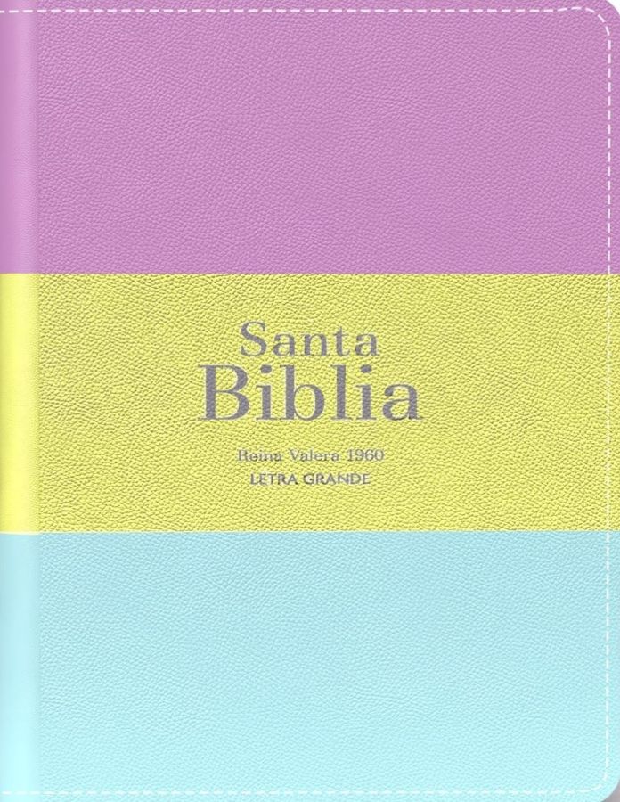 Biblia RVR 1960 - Letra Grande - Tamaño manual - Lila/verde/aquamarina