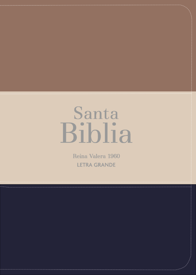 Biblia RVR 1960 - Letra Grande - Tamaño manual - Marrón /beige/azul