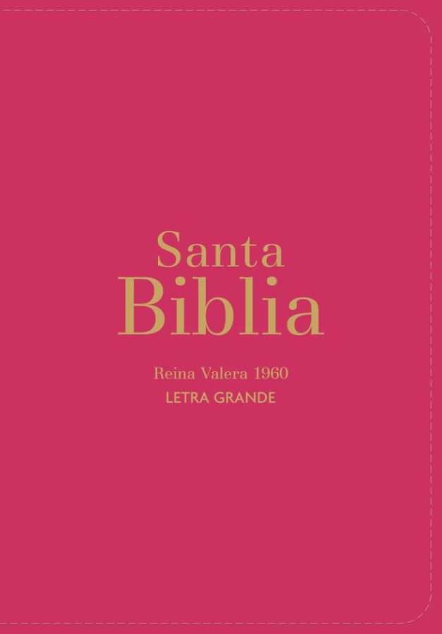 Biblia RVR 1960 - Letra Grande - Tamaño manual - Fucsia