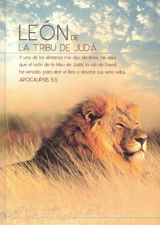 León de la tribu de Judá - Apocalipsis 5:5 - diario y cuaderno de notas / tapa dura