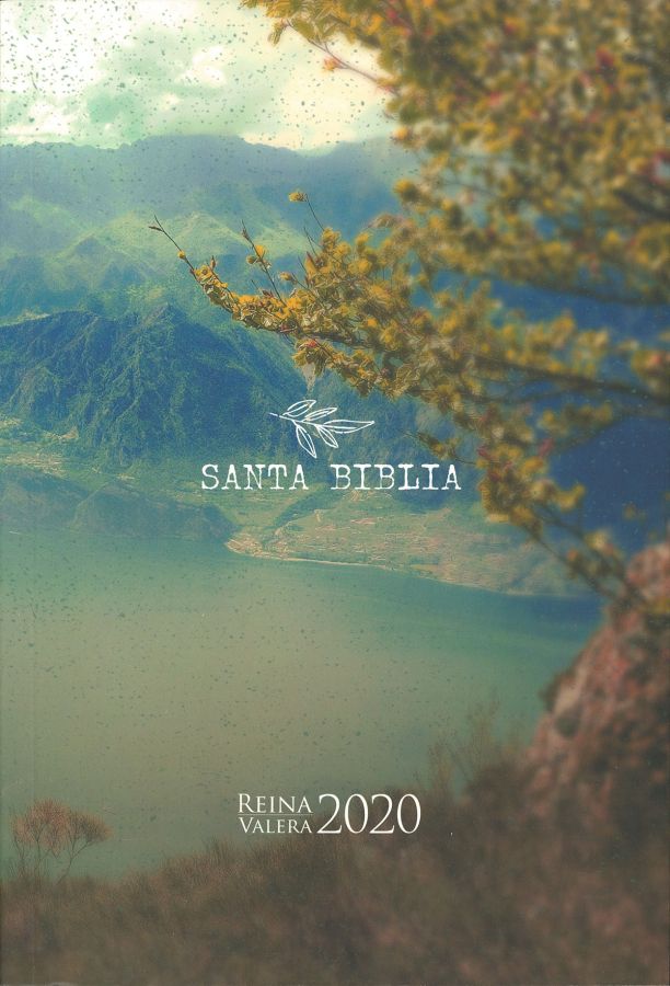 Biblia RVR 2020 letra grande la creación