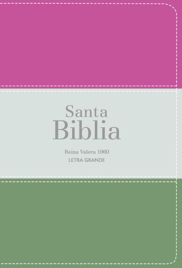 Biblia RVR 1960 - Letra Grande - Tamaño manual - Magenta/verde glacial/grisaceo
