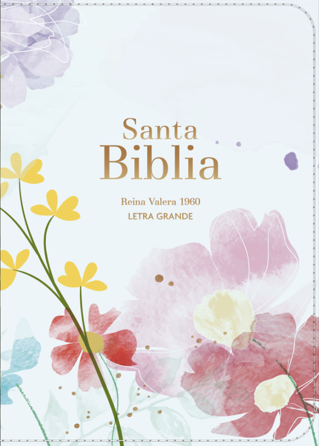 Biblia RVR 1960 - Letra Grande - Tamaño manual - Azul Claro