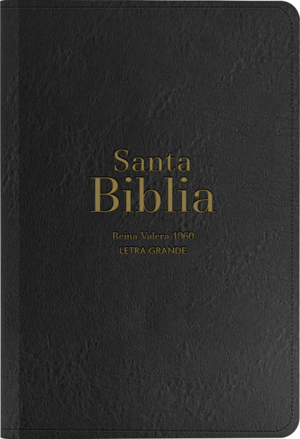 Biblia RVR 1960 Letra Grande Tamaño Manual Símil Piel Negro