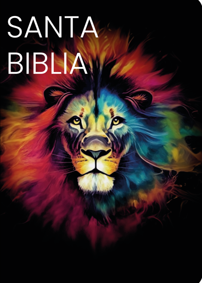 Biblia RVR 1960 - Letra Grande - Tamaño manual - Colores