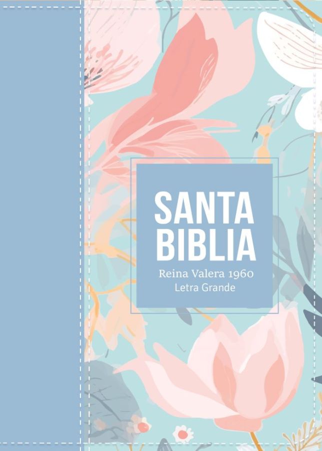 Biblia RVR 1960 - Letra Grande - Tamaño manual - Acero