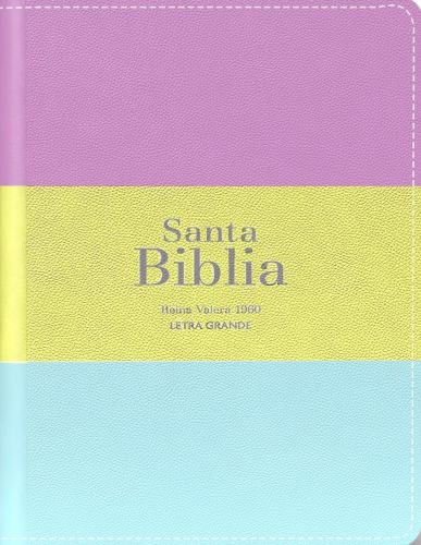 Biblia RVR 1960 - Letra Grande - Tamaño manual - Lila/verde/aquamarina