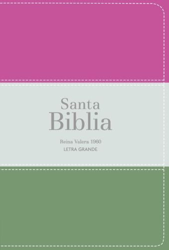Biblia RVR 1960 - Letra Grande - Tamaño manual - Magenta/verde glacial/grisaceo