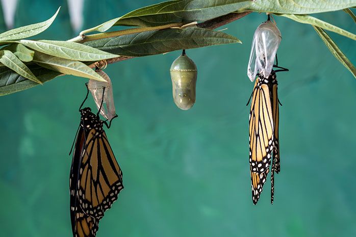 ¿Buscas información o transformación? Esta es la clave de tu crecimiento espiritual.